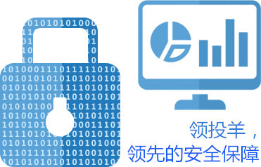 領(lǐng)投羊網(wǎng)站開發(fā)費用過百萬 聚焦網(wǎng)絡(luò)與信息安全軟件開發(fā)