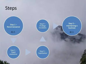 網(wǎng)絡(luò)安全實戰(zhàn) 從滲透測試到軟件開發(fā)的全方位能力提升